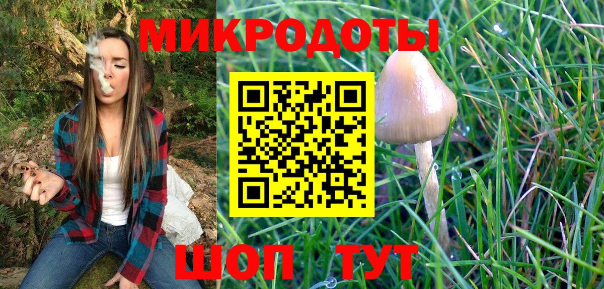 Псилоцибиновые грибы прущие грибы Самара
