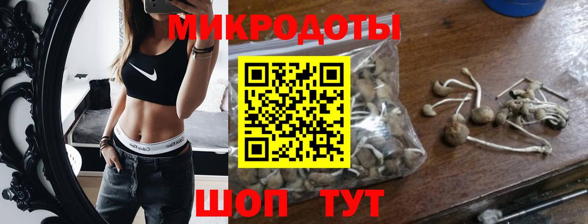 Самара  Галлюциногенные грибы MAGIC MUSHROOMS  Вход с VPN  Галлюциногенные грибы Psilocybe 